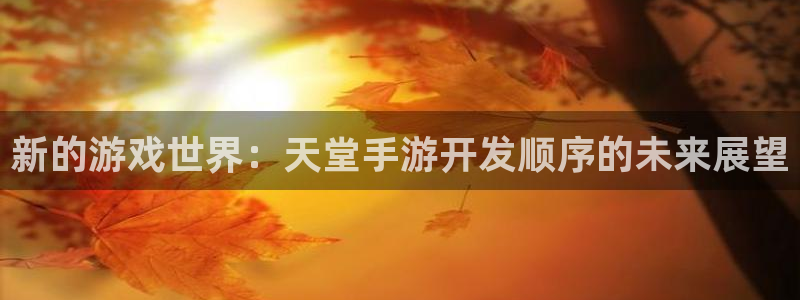 恩佐娱乐平台正规吗可靠吗：新的游戏世界：天堂手游开发顺序的未