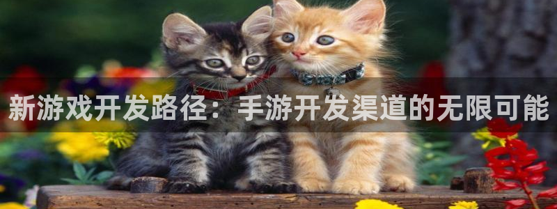 恩佐娱乐手机版最新功能介绍视频：新游戏开发路径：手游开发渠道