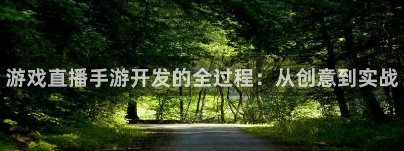 恩佐娱乐注册：游戏直播手游开发的全过程：从创意到实战