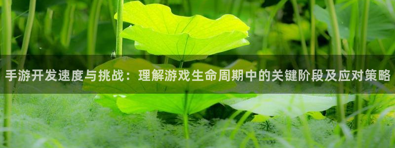 恩佐娱乐官方注册：手游开发速度与挑战：理解游戏生命周期中的关