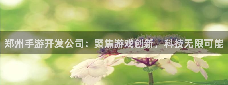 恩佐娱乐平台正规吗知乎：郑州手游开发公司：聚焦游戏创新，科技
