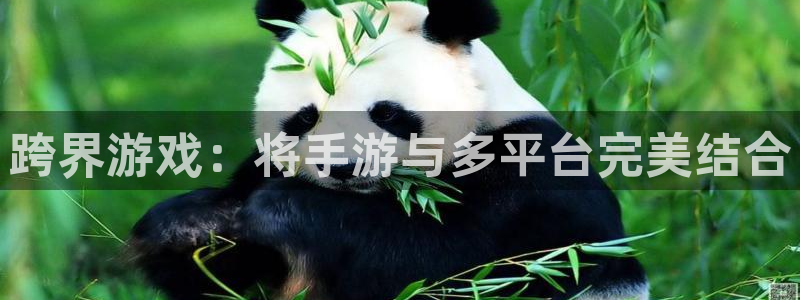 恩佐娱乐平台正规吗安全吗：跨界游戏：将手游与多平台完美结合