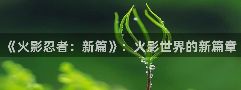 恩佐娱乐登陆：《火影忍者：新篇》：火影世界的新篇章