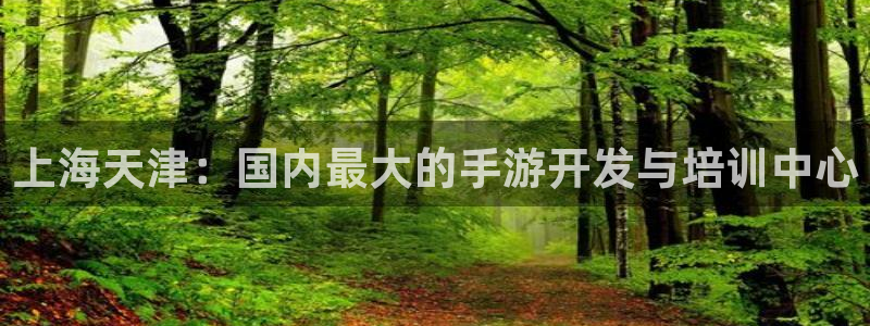 恩佐娱乐手机版最新功能介绍视频：上海天津：国内最大的手游开发