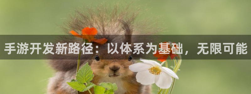 恩佐娱乐手机版最新功能介绍大全：手游开发新路径：以体系为基础