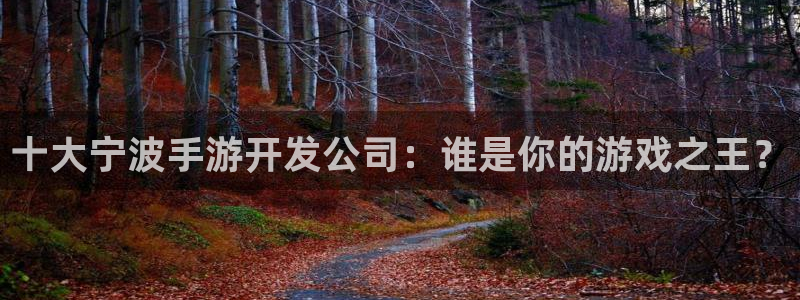 恩佐娱乐手机版最新功能介绍视频：十大宁波手游开发公司：谁是你
