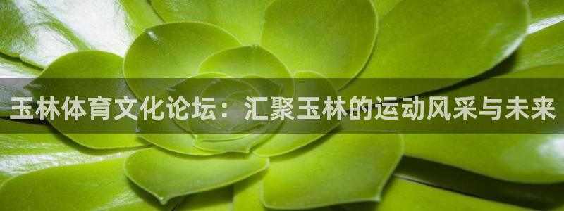 球王会体育：玉林体育文化论坛：汇聚玉林的运动风采与未来