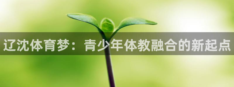 球王会体育