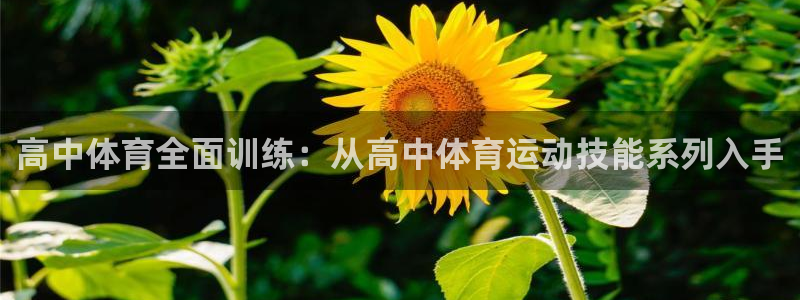 球王会体育