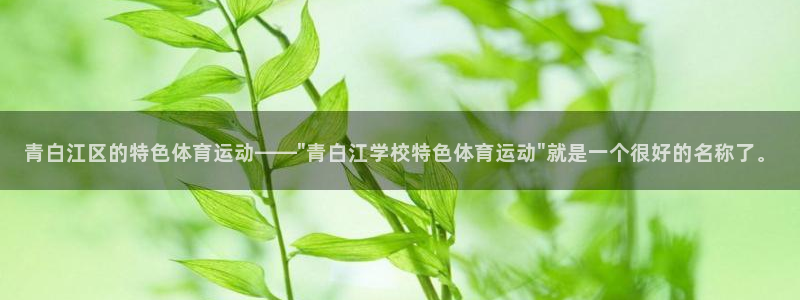 球王会体育