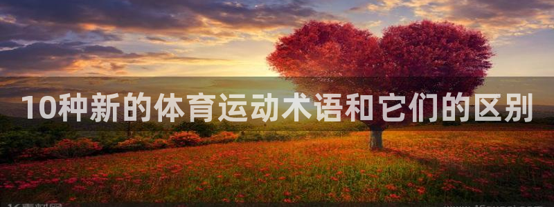 球王会体育：10种新的体育运动术语和它们的区别