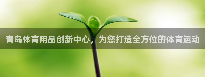 球王会体育：青岛体育用品创新中心，为您打造全方位的体育运动