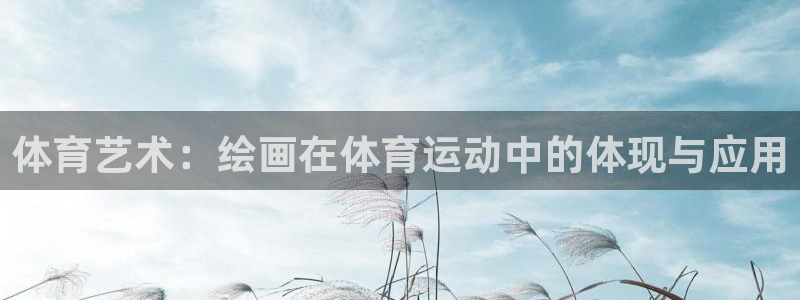 球王会体育